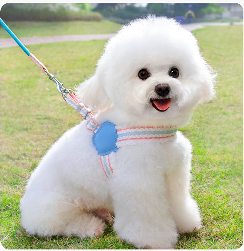 Summer Breathable Corgi Walking Dog Leash - Drool Depot