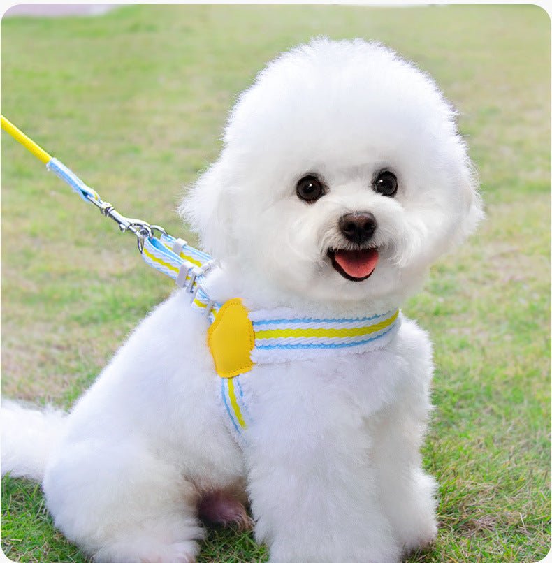 Summer Breathable Corgi Walking Dog Leash - Drool Depot