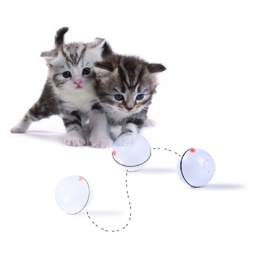 USB laser funny cat toy - Drool Depot