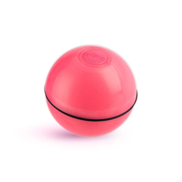 USB laser funny cat toy - Drool Depot