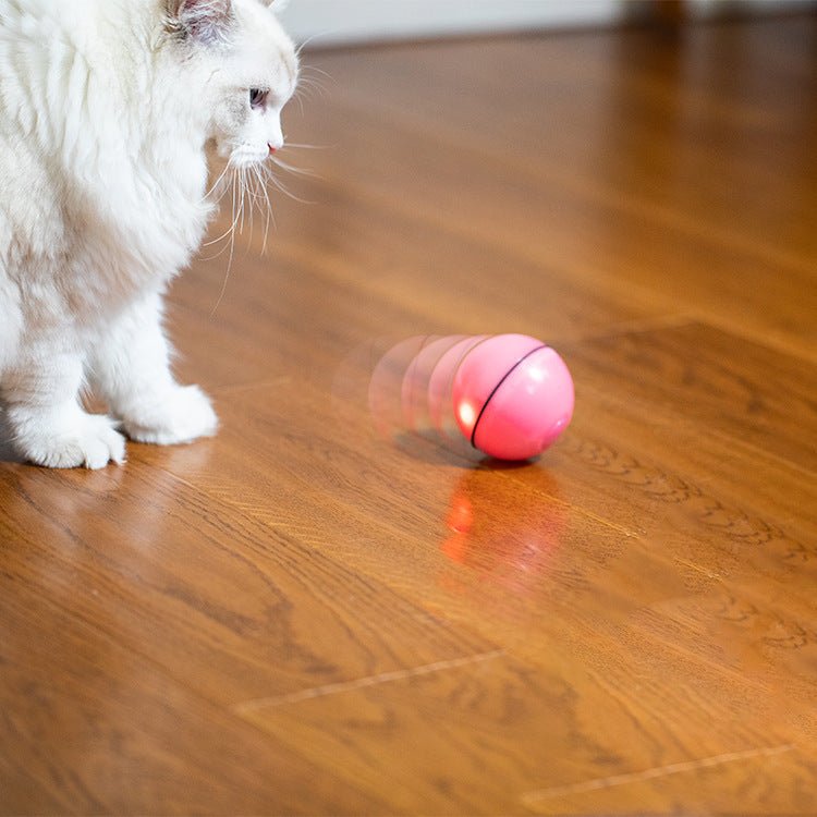 USB laser funny cat toy - Drool Depot