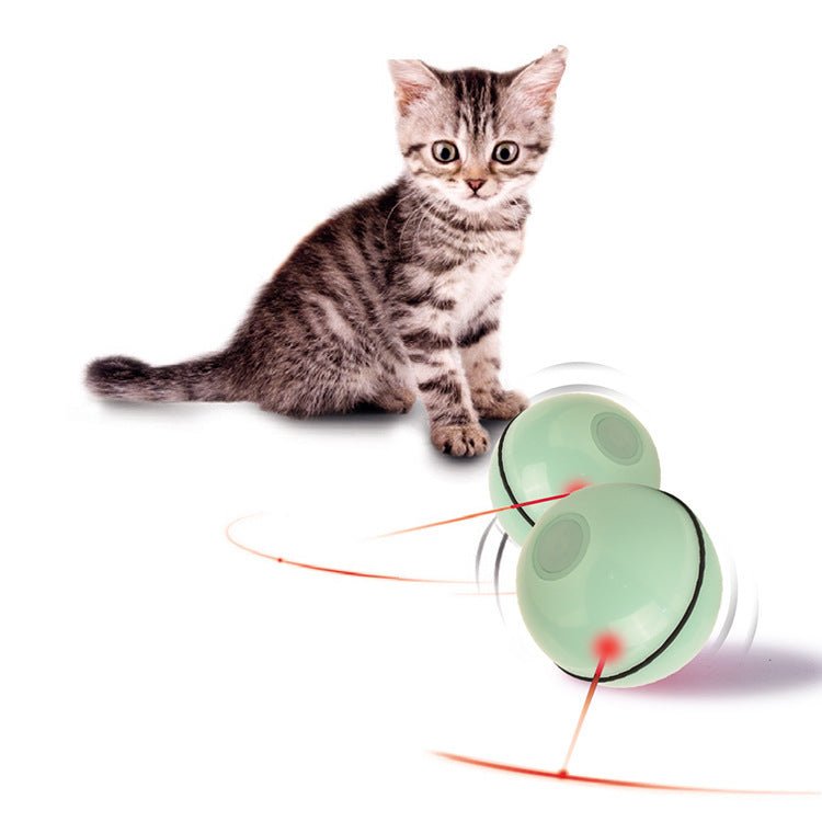 USB laser funny cat toy - Drool Depot
