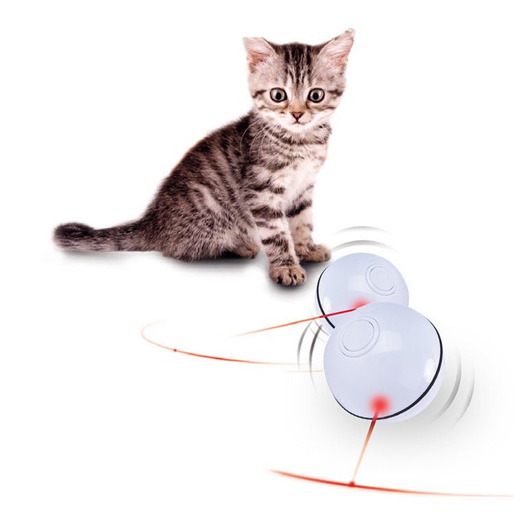 USB laser funny cat toy - Drool Depot