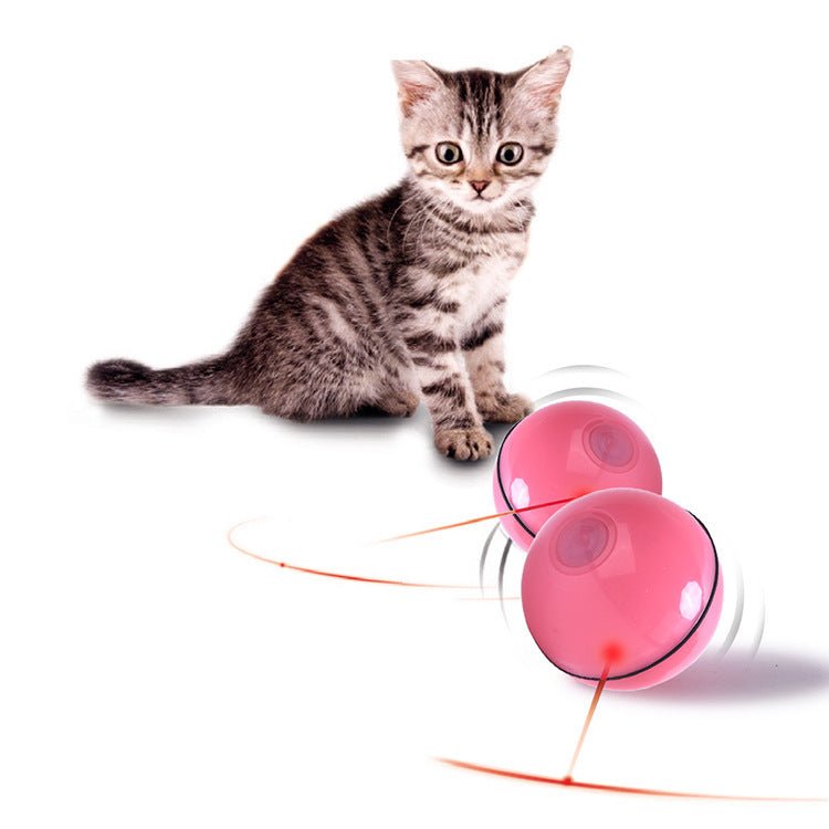 USB laser funny cat toy - Drool Depot