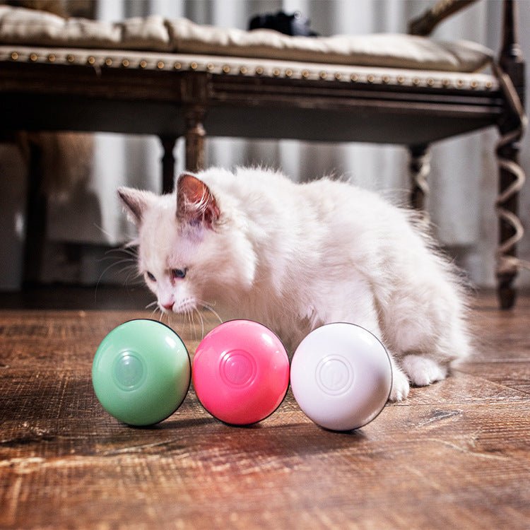 USB laser funny cat toy - Drool Depot